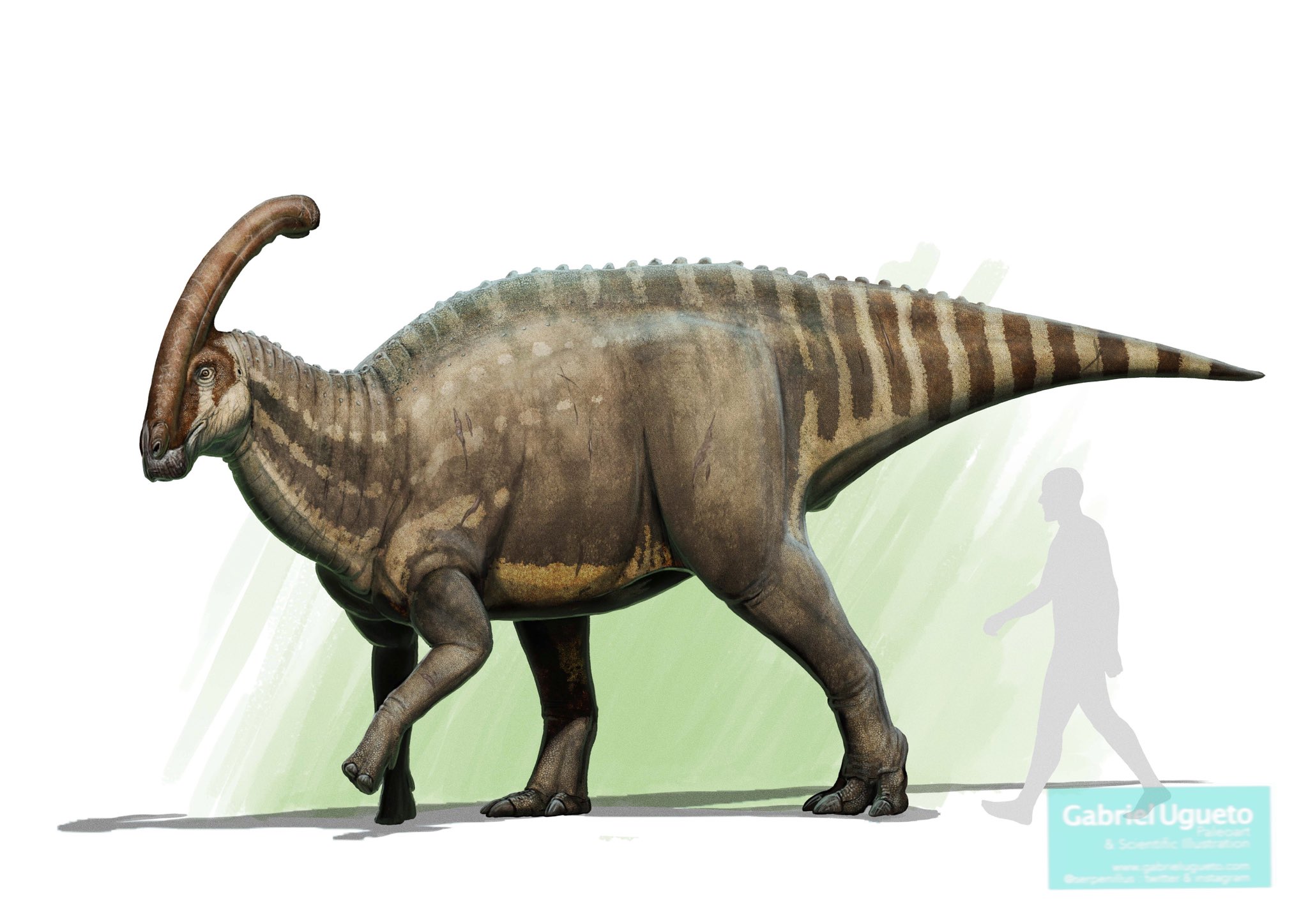 Les faux dinosaures de Jurassic World : le monde d'après - Sciences et  Avenir